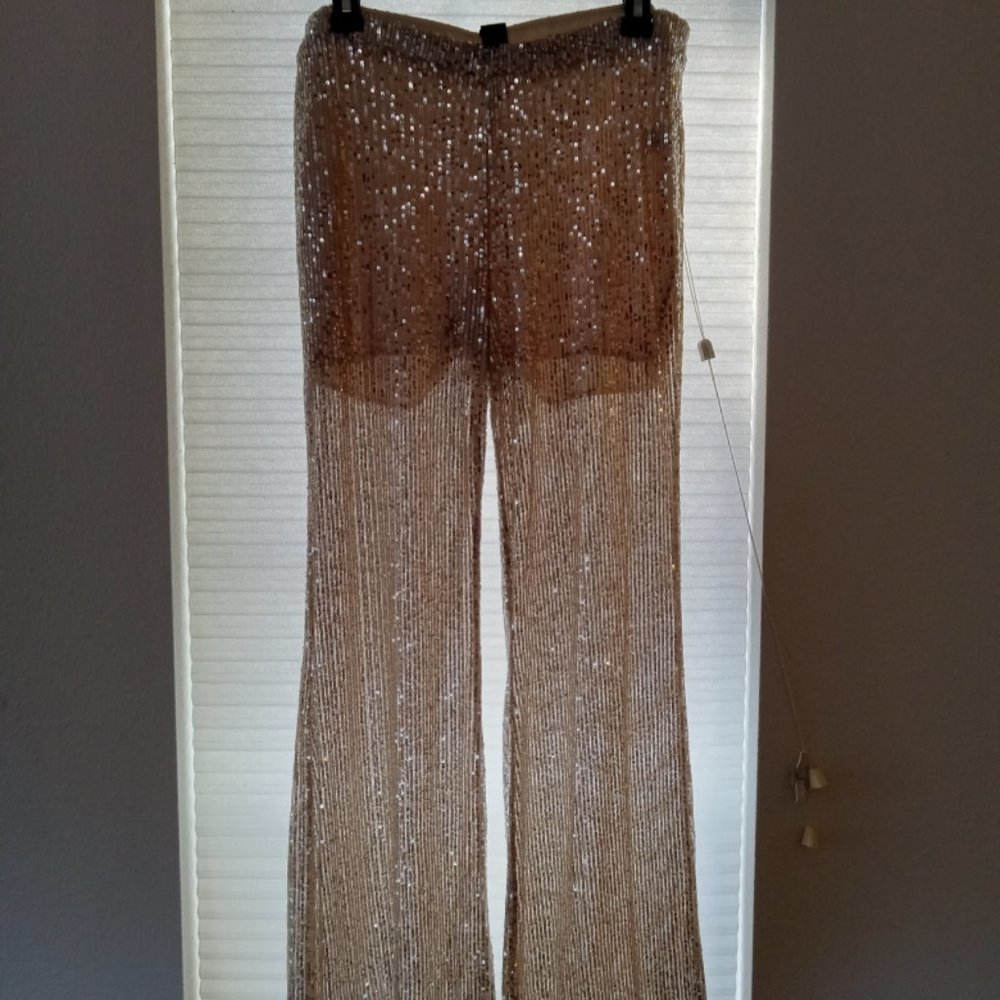 Wild Fable sequin pants